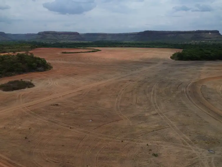 Balsas (MA), 09/10/2025 – Lavoura de cultivo de soja avança sobre a vegetação do cerrado na região do Vão do Uruçuí, nos Gerais de Balsas. Foto: Fernando Frazão/Agência Brasil